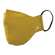 Basic Solid - Mask