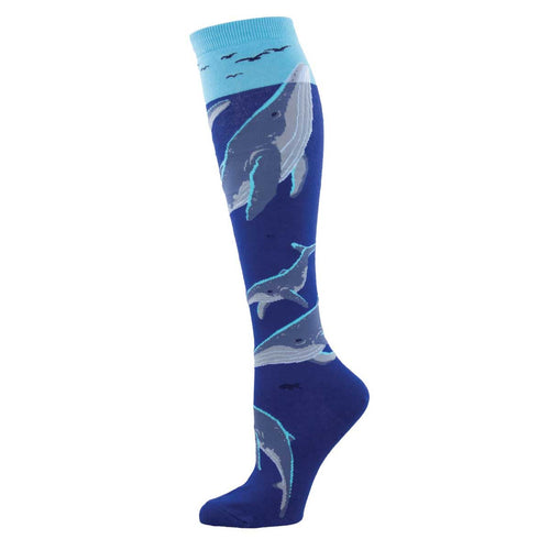 Whale Watching - Knee Highs