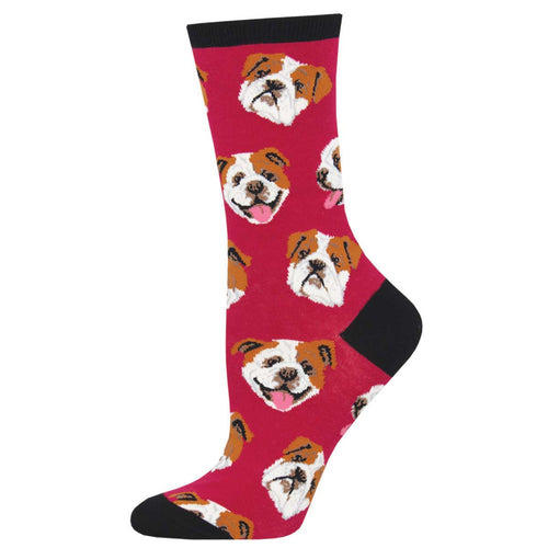 Bulldog Socks for Women - Shop Now | Socksmith