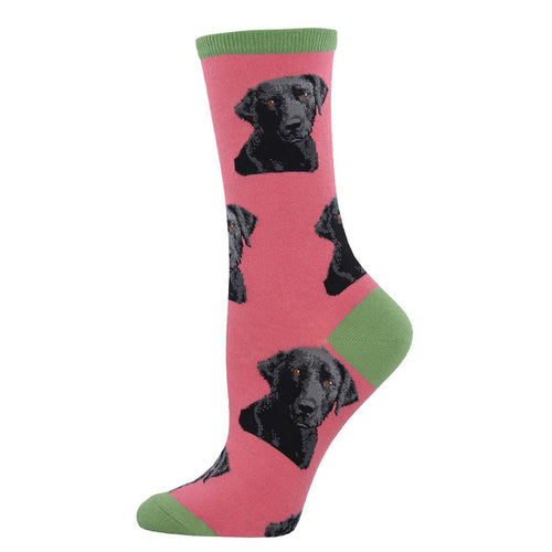 Labrador Socks for Women - Shop Now | Socksmith