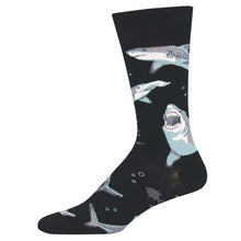 Shark Chums Socks for Men - Shop Now | Socksmith