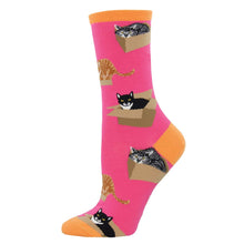 Cat In A Box Socks for Women - Shop Now | Socksmith