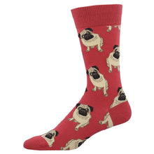 Pug Socks for Men - Shop Now | Socksmith