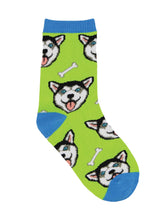 Husky Puppy Socks for Kids - Shop Now | Socksmith