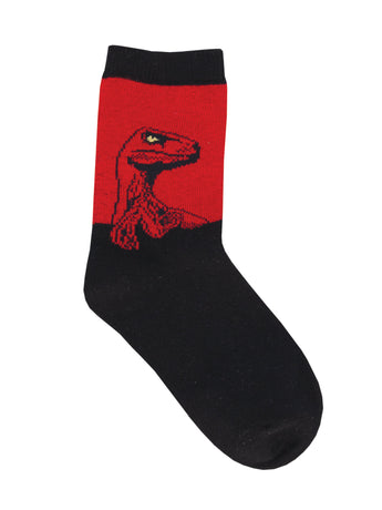 Raptor Socks for Kids - Shop Now | Socksmith