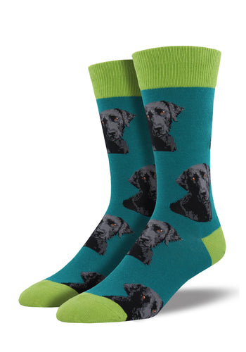 Labrador Dog Socks for Men - Shop Now | Socksmith