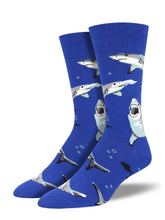 Shark Chums Socks for Men - Shop Now | Socksmith